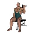 Dumbbell Curl - Seated Reverse Alternate